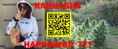 дурь Кингисепп